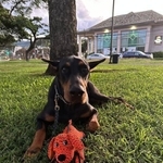 公園到着から30分…さすがに口からは離しました（提供）