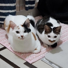 目元がそっくり！