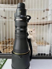 200万円超のカメラレンズ。ペットのネコちゃんも気になる！？（いずれも提供写真）