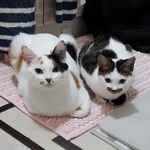 目元がそっくり！