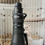 200万円超のカメラレンズ。ペットのネコちゃんも気になる！？（いずれも提供写真）