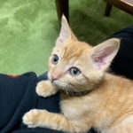 最初から人懐っこい子だった