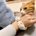 ハムっという顔と手が可愛い
