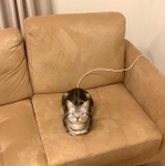 充電中だニャ（画像提供：あんこさん）