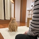 ちゃんと聞いてくれているのかな…？（画像提供：かぎしっぽすず&つむぎさん）