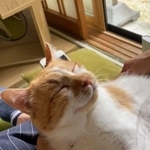 安心できる場所にやっと出会えたね（提供）