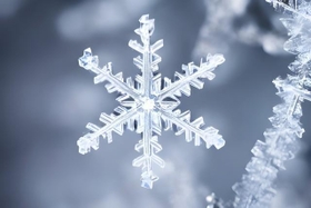 雪の結晶の研究にハマったお殿様とは？