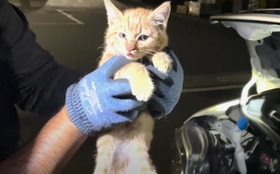 引き出した直後は意識朦朧としていたが、正常な呼吸が戻ったという（浦川さん提供、YouTubeよりキャプチャ撮影）