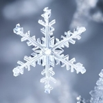 雪の結晶の研究にハマったお殿様とは？