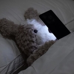 可愛いのにツイ廃感がすごい…？(引用@Monya_sub)