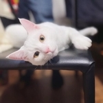 名前を呼んだら振り向いてくれた＝shiroi_shirasuさん提供