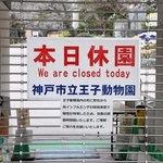 ２月２日朝から急遽「臨時閉園」となった神戸市立王子動物園