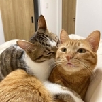 ぼたんちゃん（右）への愛が止まらないかうすちゃん（左）