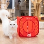 「CIAO ちゅ～る　世界の猫を喜ばすキャットハウスBOOK」付録のキャットハウス（宝島社提供）