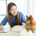 「愛玩動物看護師」という国家資格が創設されることになりました　※画像はイメージです（Molostock/stock.adobe.com）