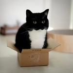 「無理ニャ…」（画像提供：うに@ねこ休み展さん）