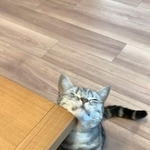 スリスリ～♪（画像提供：あんこさん）