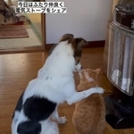 ターくんの隣に座って肩を組むアグちゃん（naomiさん提供、Instagramよりキャプチャ撮影）