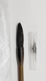 筆先を保護するために付けられているサヤ。しかし、使い始めたらすぐに捨てなければいけません（提供画像）