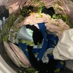 レタスを丸ごと洗濯物と一緒に洗ってしまった投稿写真がTwitter上で話題に（カメまる子さん提供）