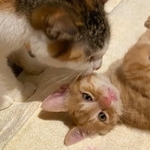 のりちゃんと菊之輔はいつも一緒にいます！