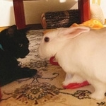 保護された身の上どうし通じ合うものが……