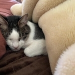 （コンドリア水戸さん提供）