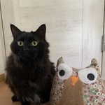 ふわふわなひめちゃん