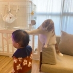 「ねえねえ、遊ぼうよ」＝こなつさん（@konatsudayo529）提供