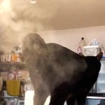 加湿器から出てくる蒸気にお尻を向ける黒猫が話題（「つむはぎだらけ」さん提供、Twitterよりキャプチャ撮影）