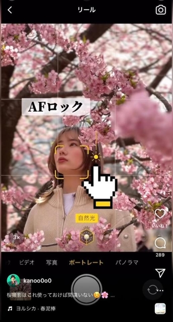 一眼レフで撮ったみたい」iPhoneで桜をきれいに撮る方法がSNSで