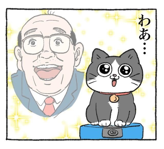 就寝前の極上の時間 Twitter民を虜にする漫画「ねこに転生したおじさん