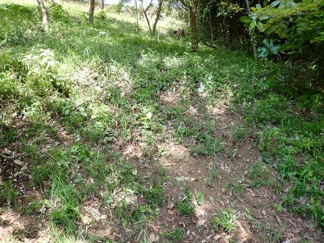 踏み荒らされ、土肌が見えている希少植物の保護地（横浜市立金沢動物園提供）