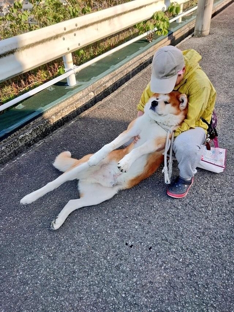 絶対に動かん！＝ジャーキー屋Mummy（マミー）さん（@alcoholicsakura）提供