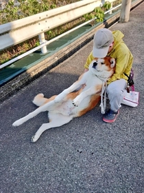 絶対に動かん！＝ジャーキー屋Mummy（マミー）さん（@alcoholicsakura）提供