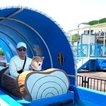 初めてのアトラクションに乗り込む柴犬さんがInstagramで話題に（「柴犬しげるブラウンくん」さん提供、Instagramよりキャプチャ撮影）