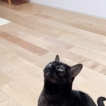 行くぞ～！＝mosscat25さん提供