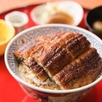 おいしそうなうな丼（うなぎスタイル提供）