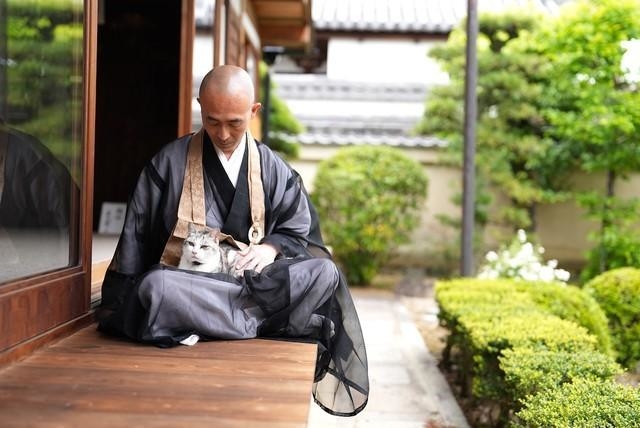 「住職のお膝の上は気持ちいいにゃ」