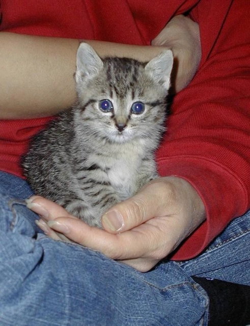 熱心にケアしたらきれいな目になった＝Yさん提供