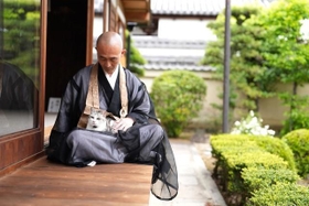 「住職のお膝の上は気持ちいいにゃ」