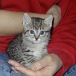 熱心にケアしたらきれいな目になった＝Yさん提供