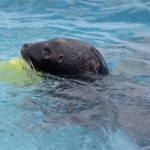 （ゆーさん提供）