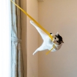 ターザン＝小野一俊さん（@kazutoshi_ono_）提供