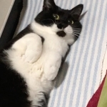 お父さんにうざ絡みされる＝bacattsuraさん提供