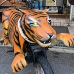 さすが虎、眼光が鋭いです。ポジションランプ？