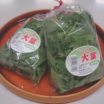 この名前に反応する人は昭和世代？（株式会社妙高ガーデン提供）