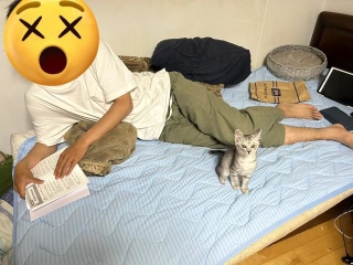 子猫ちゃんと遊ぶ誘惑をふり切って…勉強できるのかッ！？　画像提供：ざっきぃさん