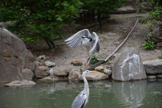 同じ写真ではありません（画像提供：おこめさん）