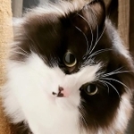 「テナくん」と呼んだら、首をかしげてくれた＝eme.rafさん提供